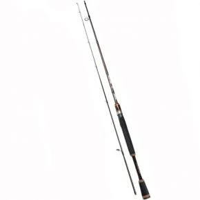 Спінінг Fishing ROI Fantom 2.28m 8-30g