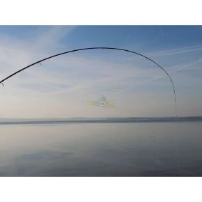 Вудилище фідерне Carp Expert Elite Feeder 3,60m 80-120g (12335360)