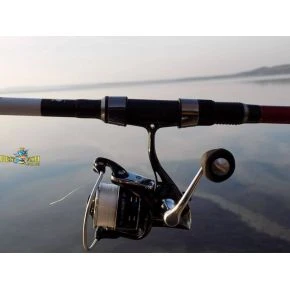 Вудилище фідерне Carp Expert Method Feeder 3,30m 100-150g (12330330)