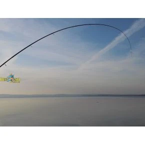 Вудилище фідерне Carp Expert Method Feeder 3,30m 100-150g (12330330)