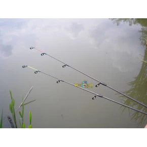 Вудилище коропове + фідер Carp Expert Double Tip 3,0lbs 3,90m (13394390)