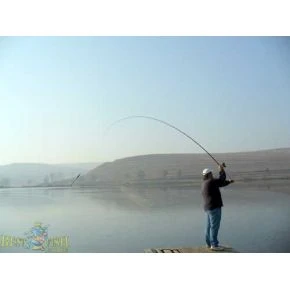 Вудилище матчеве Carp Expert Match 3,90m