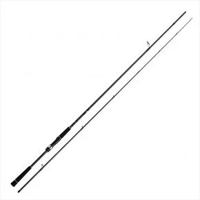 Спінінг Daiwa Seabass Hunter X 100MH-R 3.05m 12-60g (5800079)