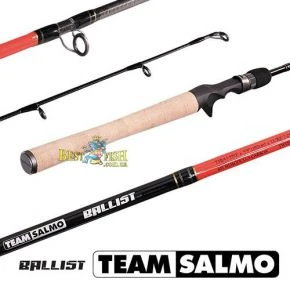 Вудилище кастингове Team Salmo Ballist 6.1 / M (TSBA2-612EF)